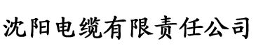 秋霞韩国理论电缆厂logo